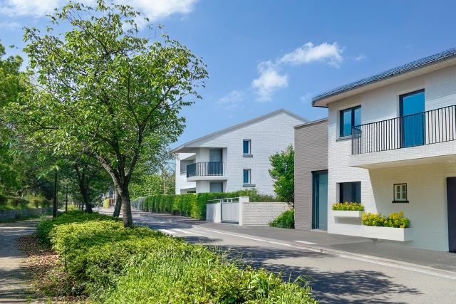 緑に囲まれた明るい住宅街の風景